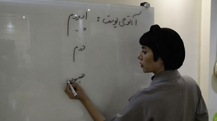 آموزش تئوری پوست